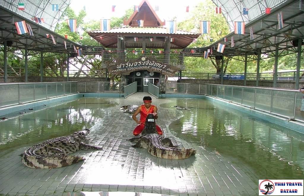 Tayland Turu - 5
