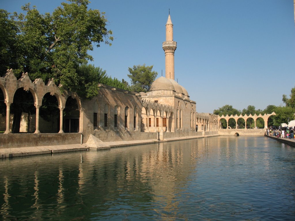Benzersiz GAP Turu - 2
