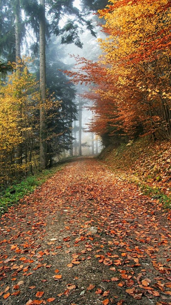 Batı Karadeniz Turu İlkbahar - 5